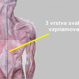 strecing-skratenych-svalov-chrbta