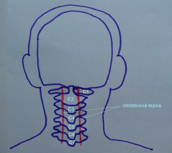 deformacia-krcnej-chrbtice