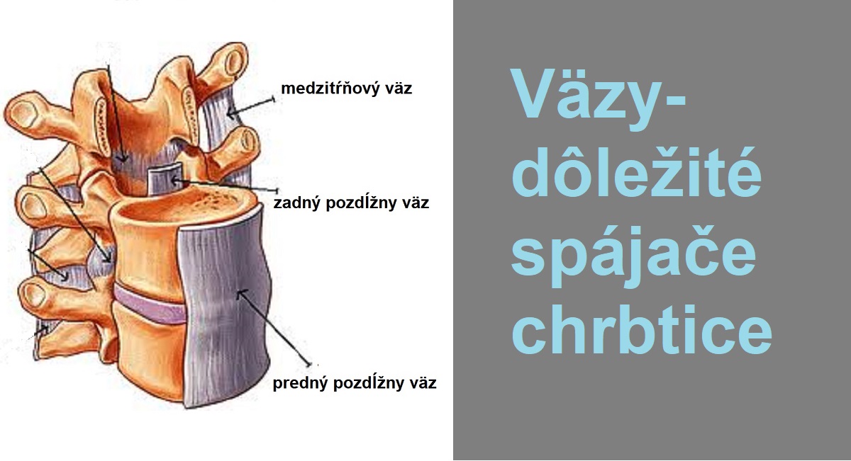 vazy-spajace-chrbtice